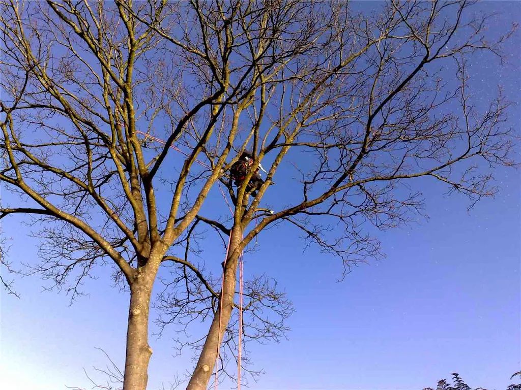 2008 photo 184