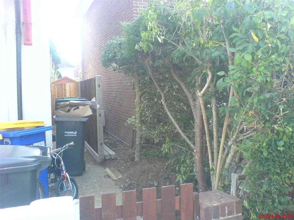 2009 photo 172