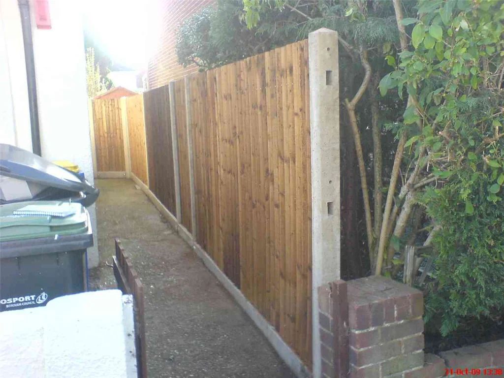 2009 photo 173