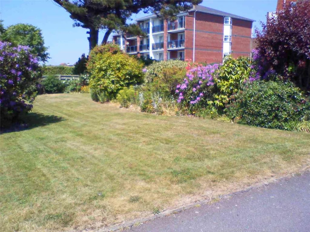 2010 photo 96
