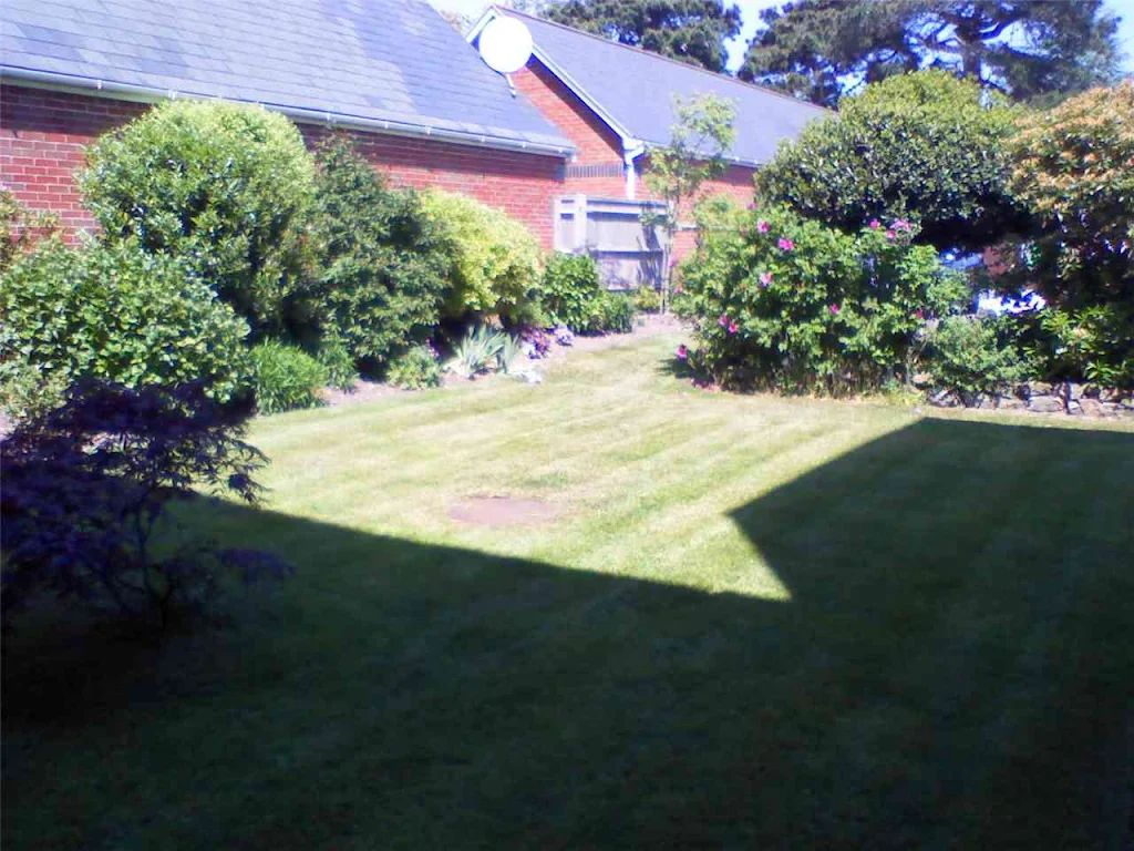 2010 photo 102