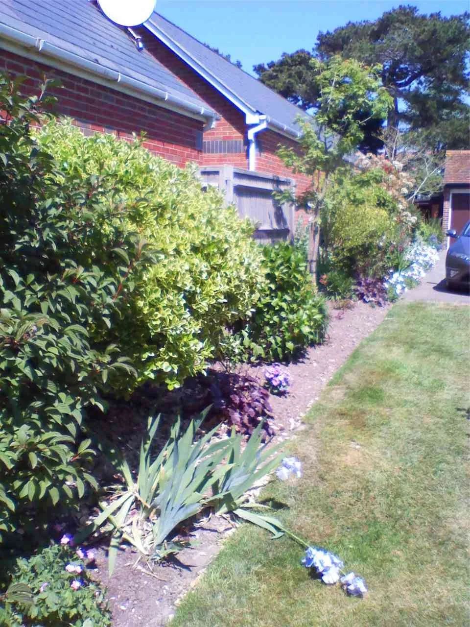 2010 photo 103