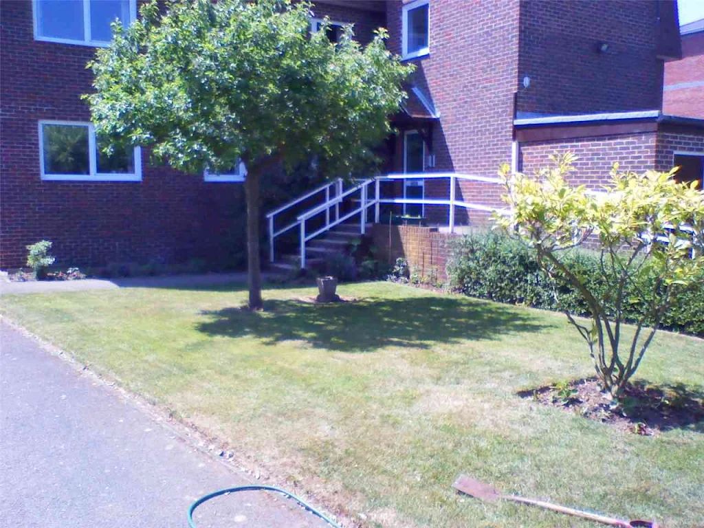 2010 photo 104