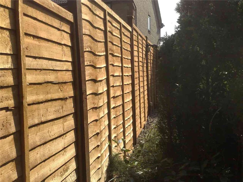 2010 photo 109
