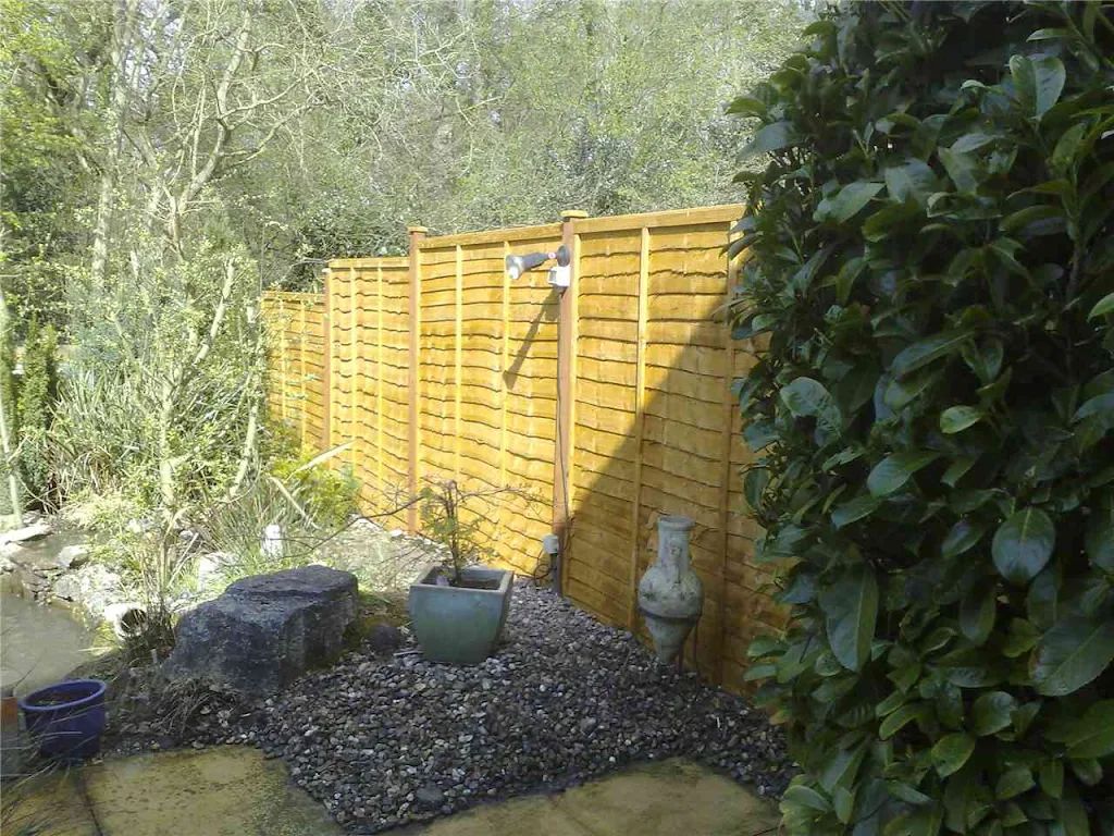 2010 photo 110