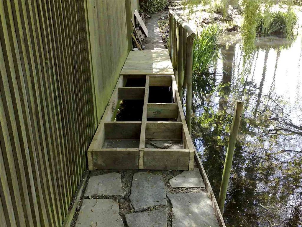 2010 photo 115