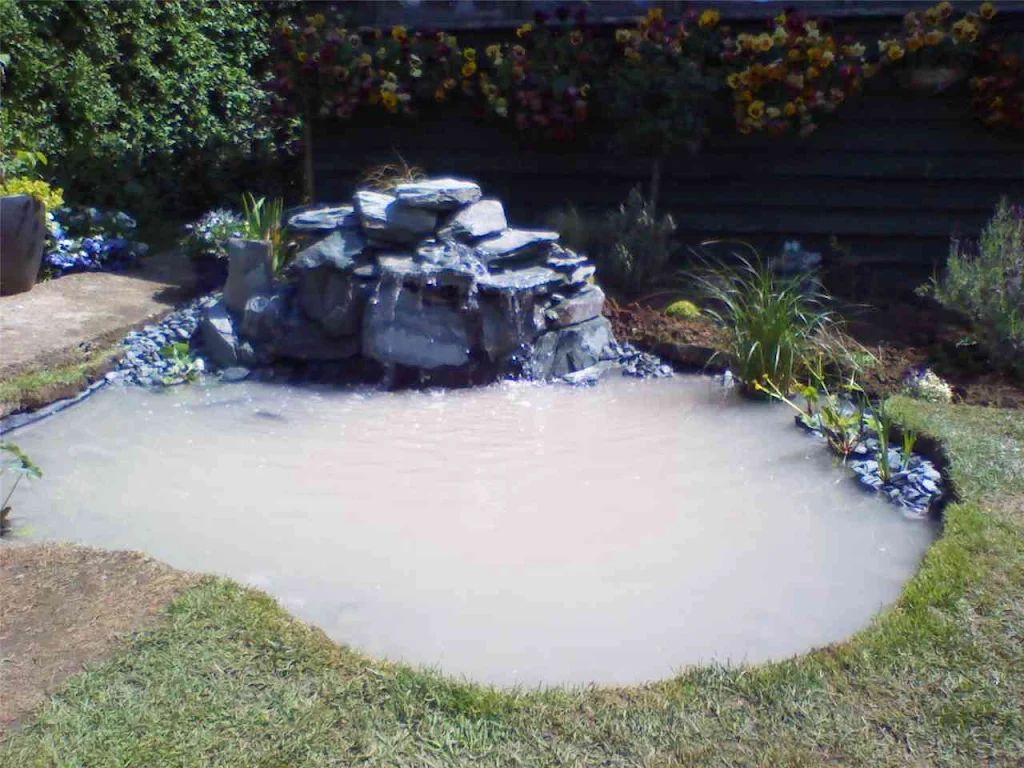 2010 photo 119