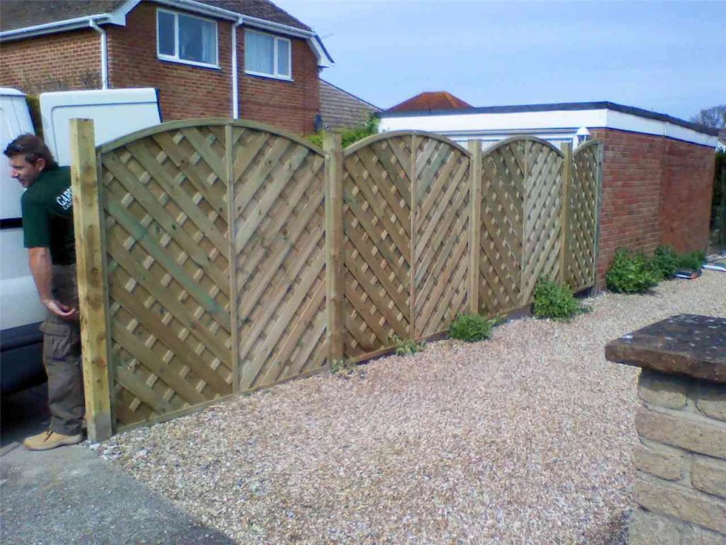 2010 photo 125