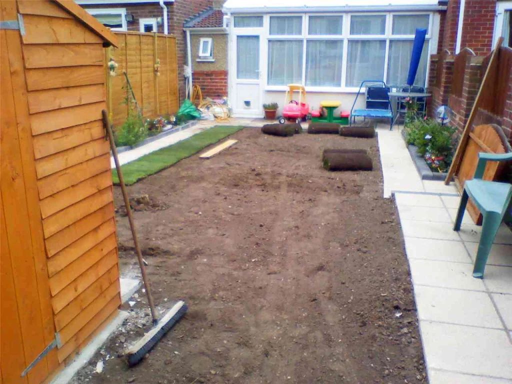 2010 photo 130