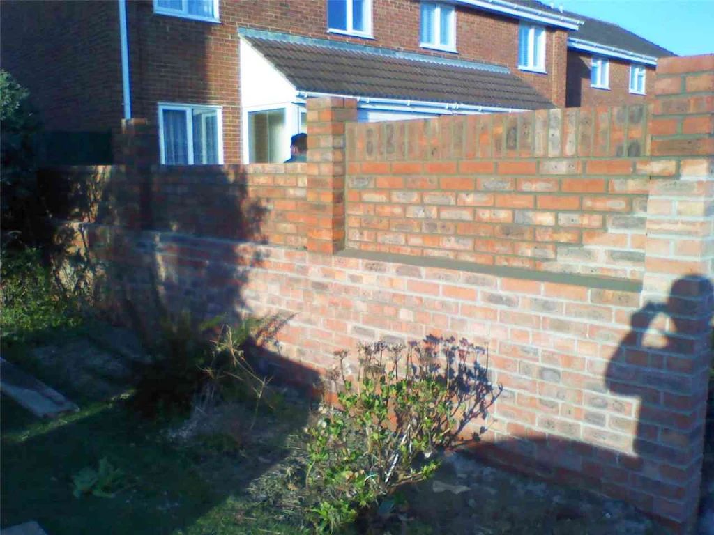 2010 photo 136