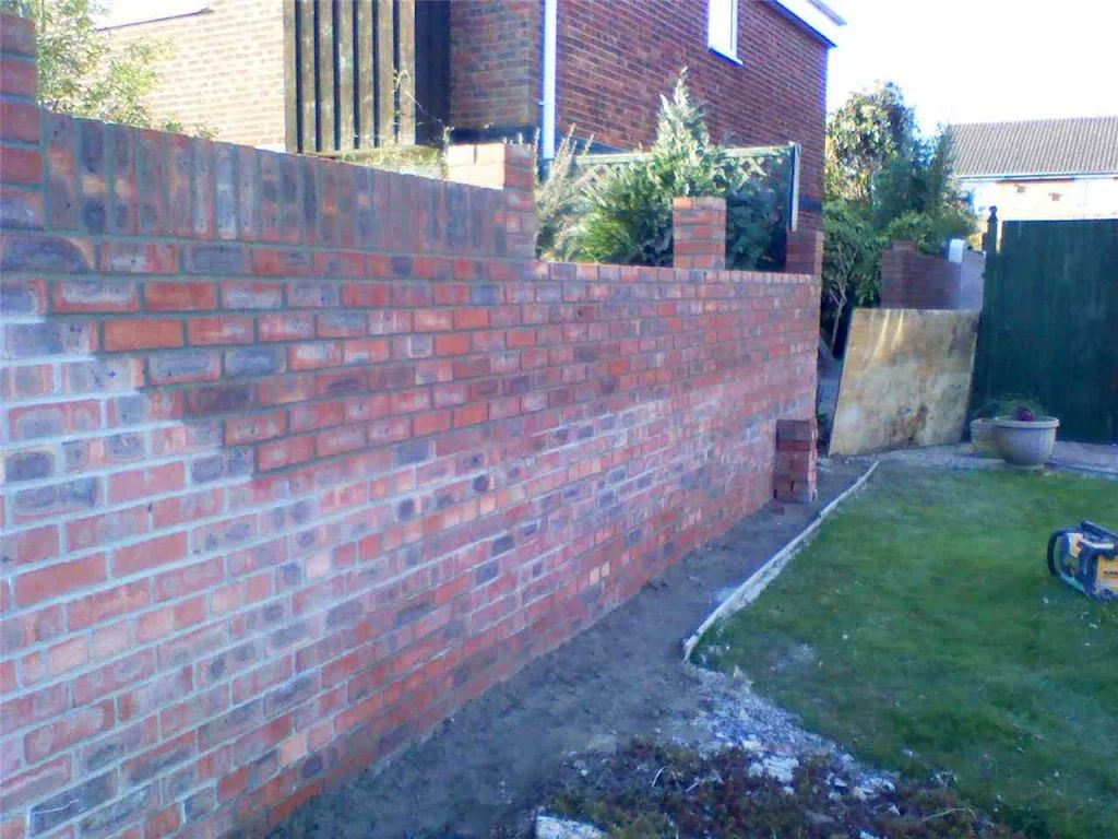 2010 photo 137