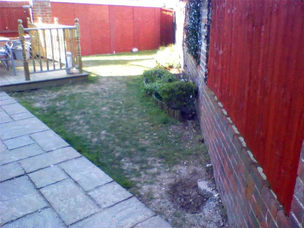 2010 photo 148