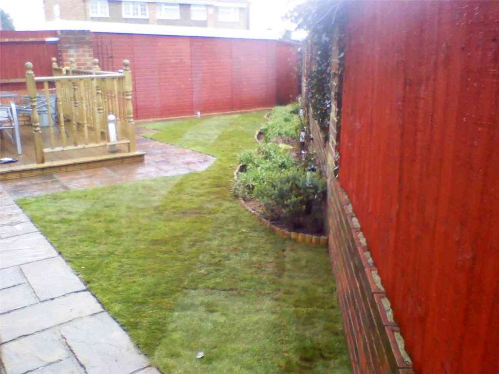 2010 photo 150