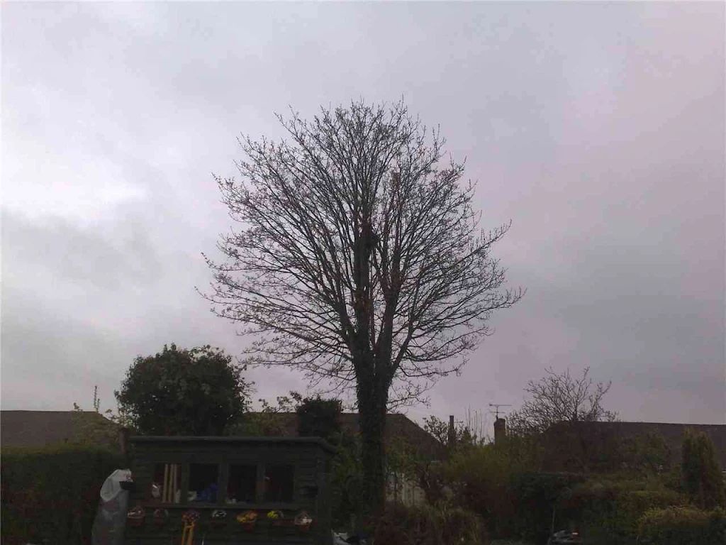 2010 photo 167