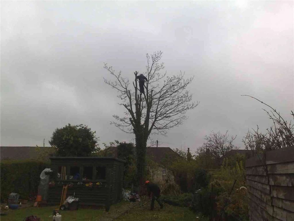 2010 photo 168