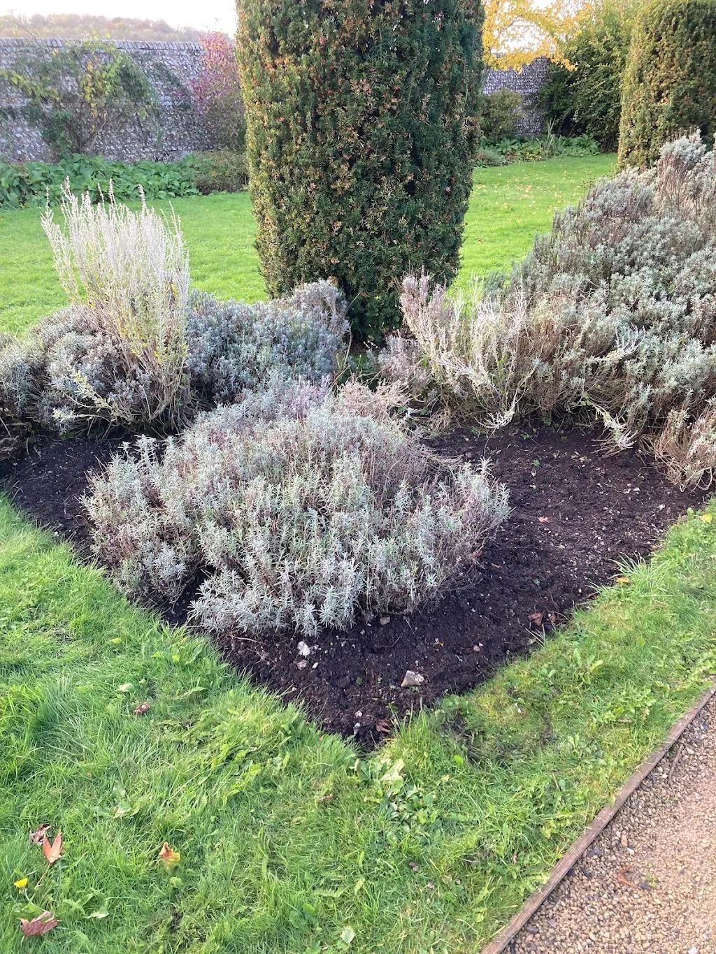 Garden Maintenance photo 52
