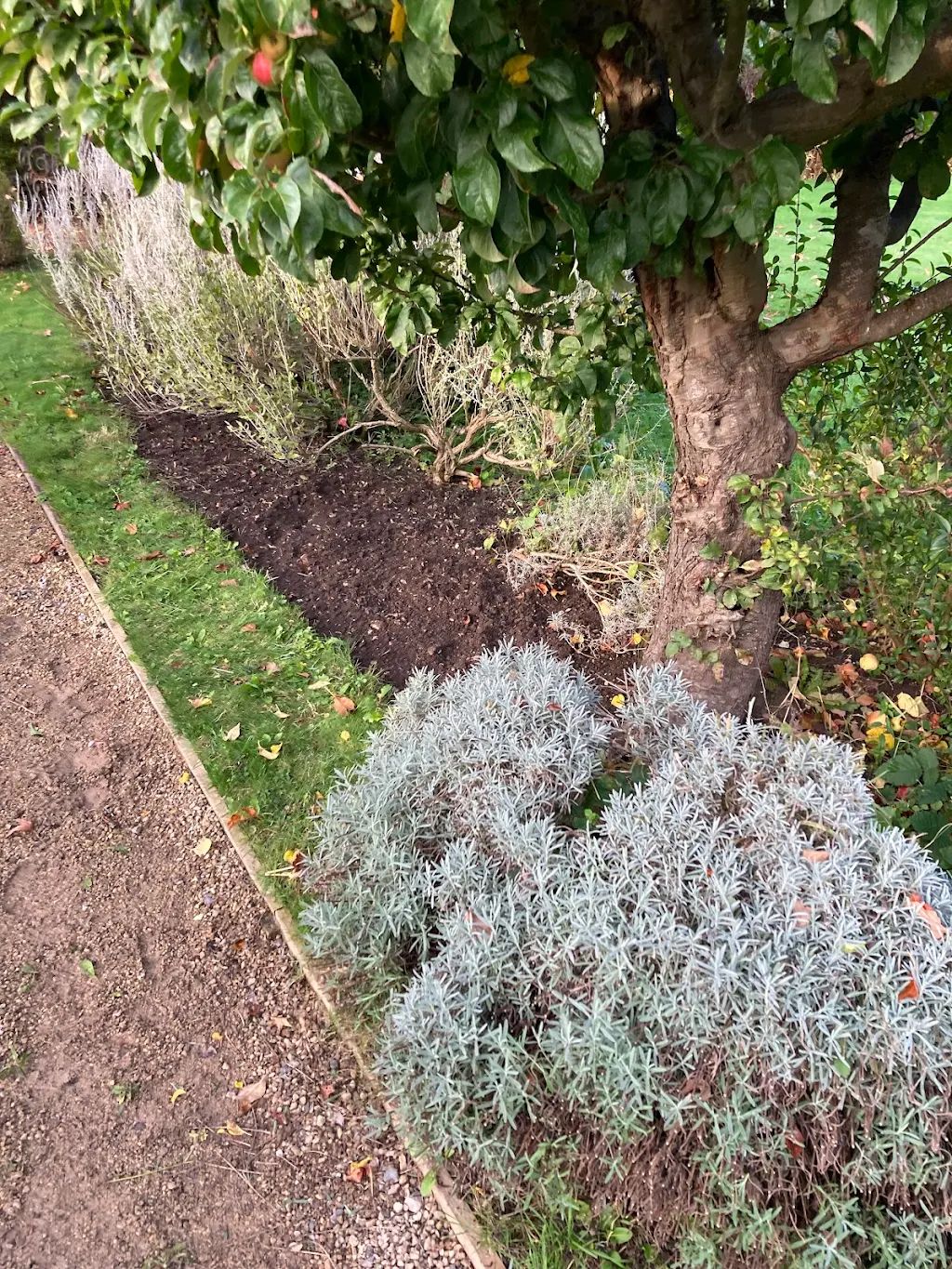 Garden Maintenance photo 54