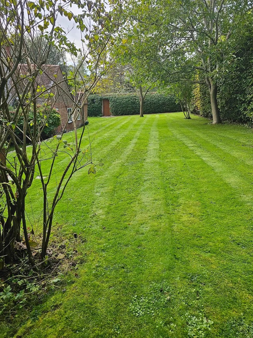 Garden Maintenance photo 56