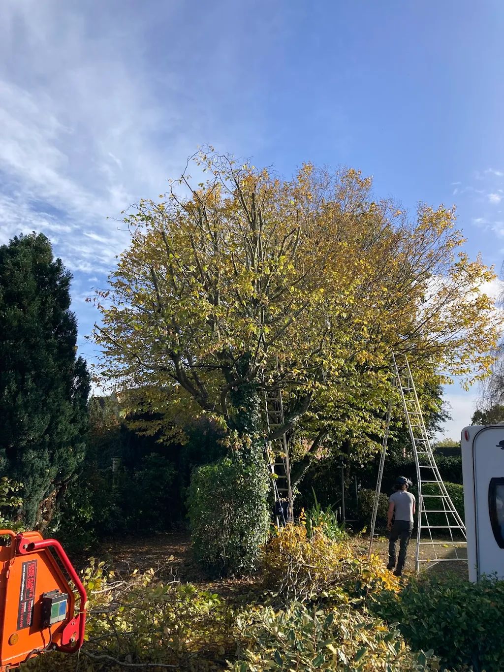 Garden Maintenance photo 67