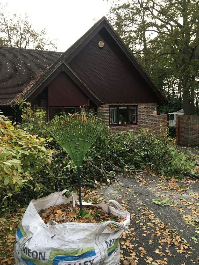 Tree Care photo 212