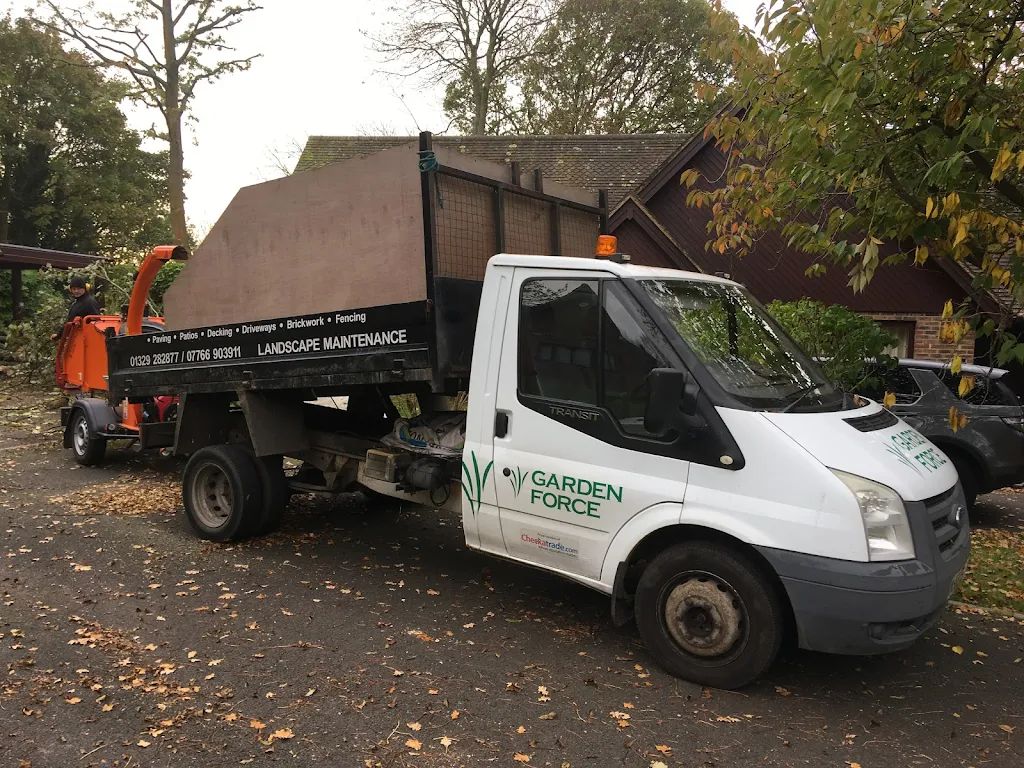 Tree Surgery