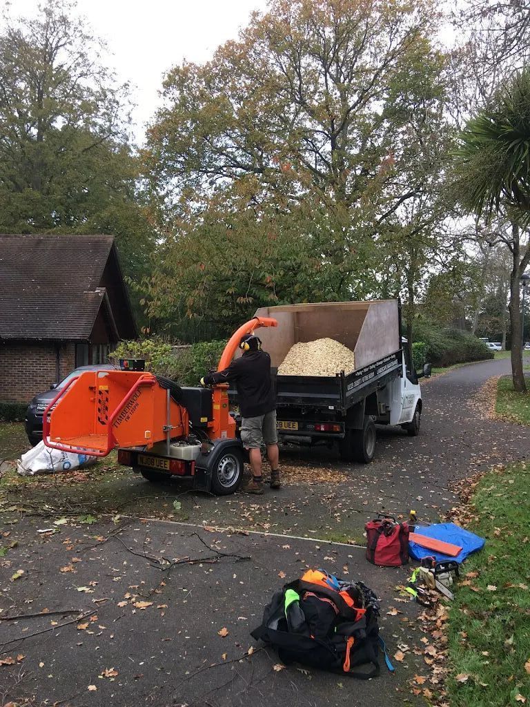 Tree Care photo 217