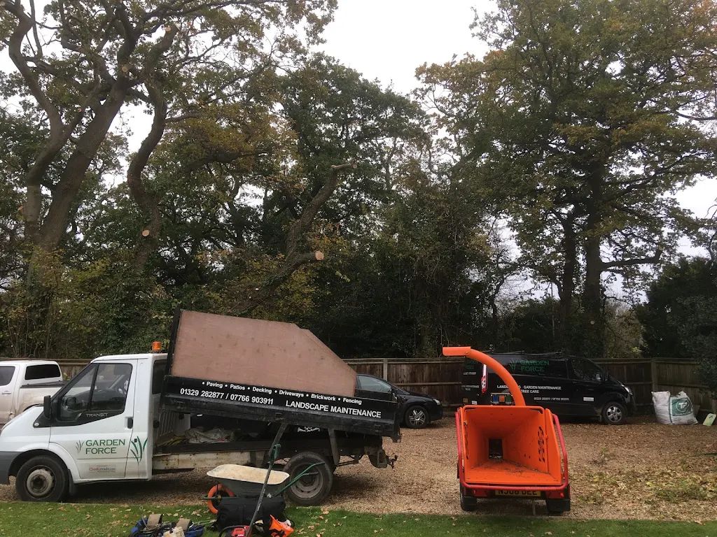 Tree Care photo 223